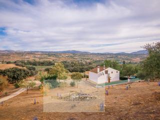 Casa en Partidas Norte. Espectacular finca con casa, piscina y olivar en entorno natural