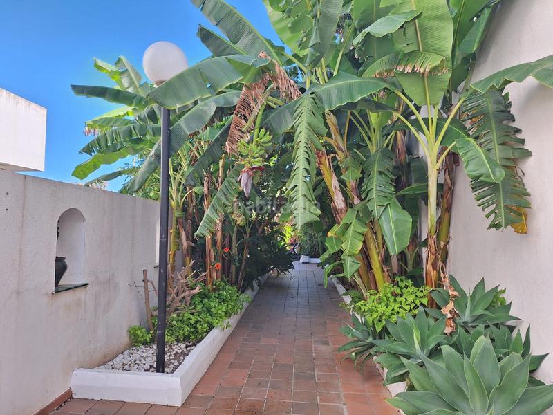 Foto 125ca654-893b-4728-95af-ba14e7ecf9df. Dúplex  en venta en jardines ! en Sotogrande costa Sotogrande