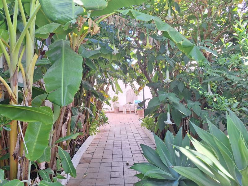 Foto 266969c4-b921-45c0-a795-dc54b73556cf. Dúplex  en venta en jardines ! en Sotogrande costa Sotogrande
