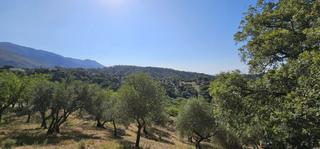 Terreny residencial a Casares pueblo. Impresionante finca parcela de 28.000m2 en casares.