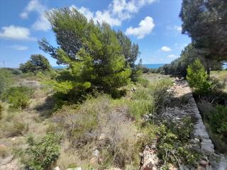 Terrain résidentiel à Alcora (l´)
