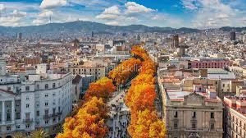 Foto c37c94c4-4f11-4638-9846-a18d6edc9809. Pis a Concòrdia Sabadell