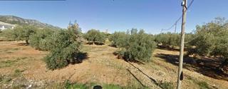 Terreno residencial en Alcanar