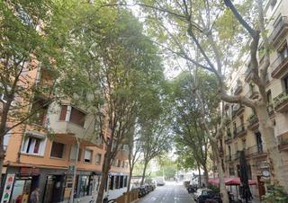 Geschäftsraum  Carrer d'aldana