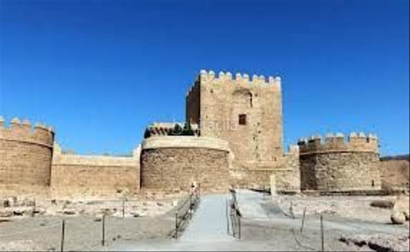 Foto f2f27833-0d06-4d6d-b9ef-18fe6df799d3. Casa adosada venta de inmueble alquilada en Mojonera (La)