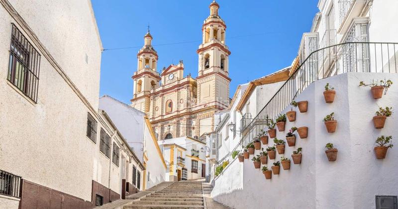 Foto f3db62ae-9e7b-486c-8d45-4362750ae409. Casa adosada en El Rocío - La Milagrosa Jerez de la Frontera