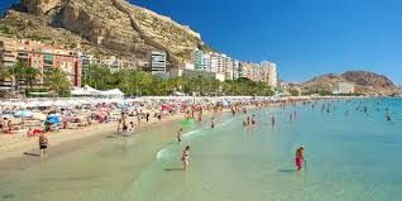 Foto 1aadd20f-c906-40e8-a6fe-87273af3bb85. Industrial building in Campo Alto-Club de Campo Elda