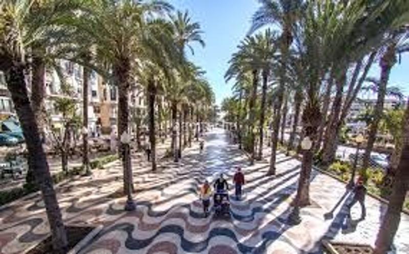 Foto 32b81322-10cd-447d-9b49-c01ac6dc956b. Industrial building in Campo Alto-Club de Campo Elda