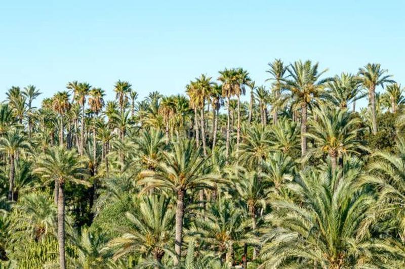 Foto 520bdce1-9c24-4c8c-8704-ca1e6ccc9ef3. Casa a Jubalcoi Elche / Elx