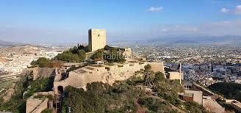 Foto 5027e7e5-bd31-4c98-8406-05799c43a88b. Pis a Purias Lorca