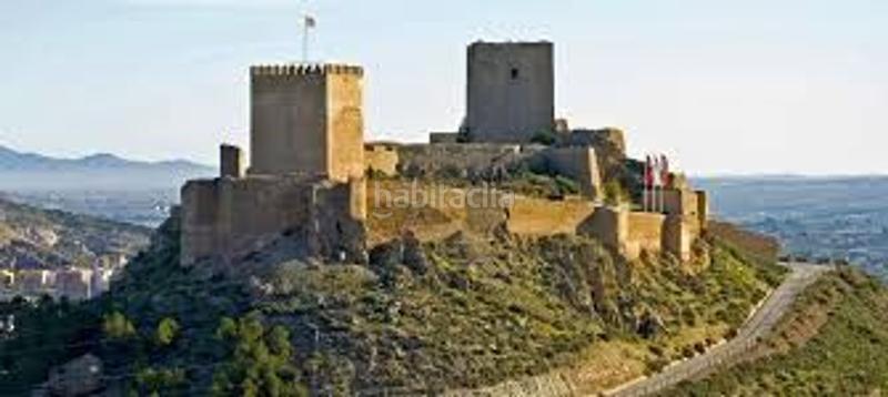 Foto 68ff4c6d-4279-4c24-b7b1-e9f72fa1fdd5. Pis a Purias Lorca
