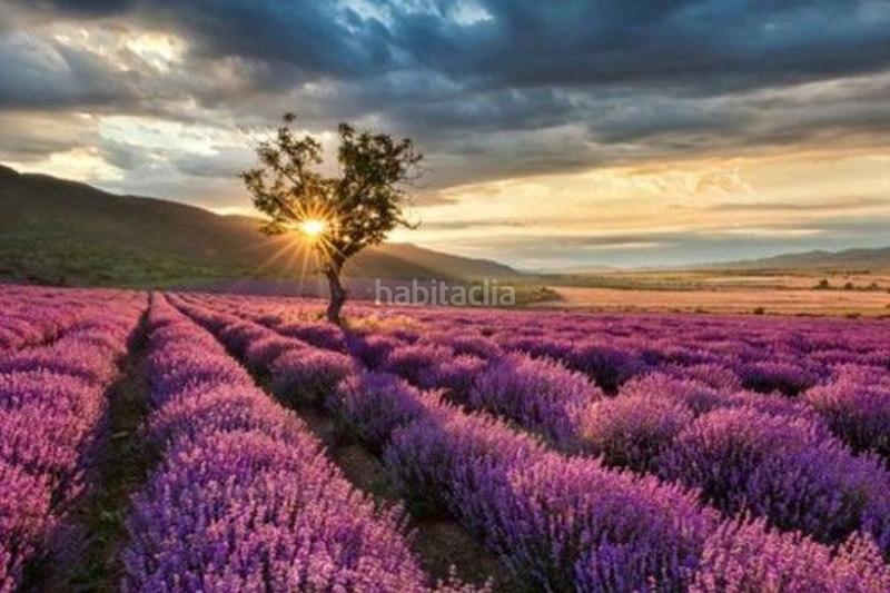 Foto 9f5a05df-c8ba-42da-8cc8-2088d676ed59. Appartamento in Alovera