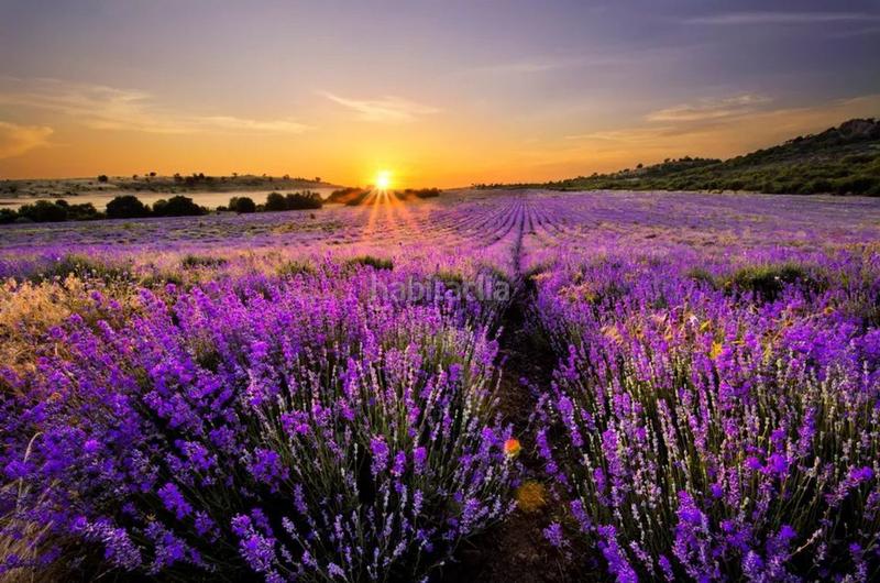 Foto 76efb382-dae4-4dd3-ac59-dd18c96de784. Flat in Alovera