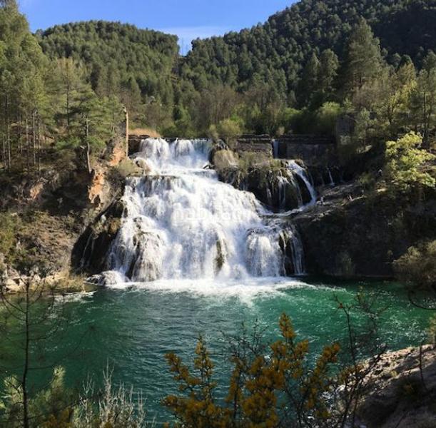 Foto cd7abd75-592d-4005-87ab-9a1c0de5e5fc. Pis a Alovera