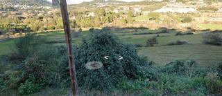 Terreno residencial en Caldes de Montbui