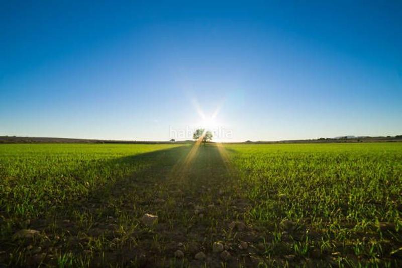 Foto 0eca2fbc-7288-4a19-b8df-4cd06972bc93. Haus in Altorreal - El Chorrico Molina de Segura