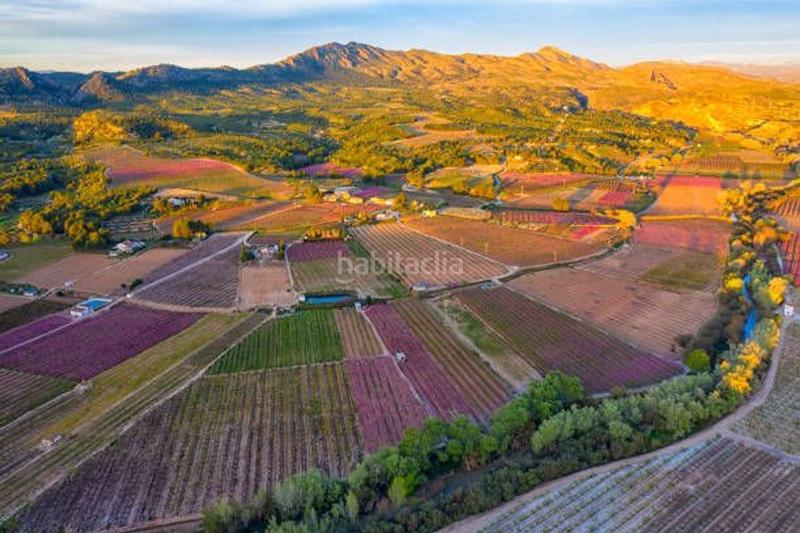 Foto 0eff7513-17a4-4837-94f3-1f5f5194c3e5. Maison dans Altorreal - El Chorrico Molina de Segura