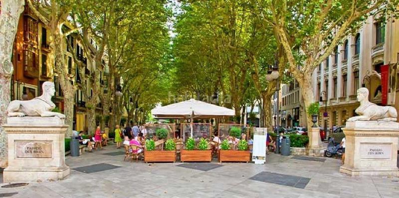 Foto 2418fb31-dfd5-4a2e-9830-60492a446528. House in Amanecer Palma de Mallorca