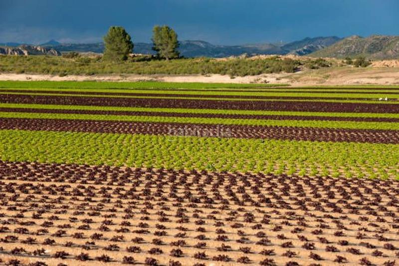 Foto 485c3325-6937-42d1-9978-520422911b11. Piso en La Paz Murcia