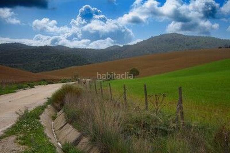 Foto 03733c74-1c09-4667-82eb-3eacecb923a1. Casa adosada en Almogía