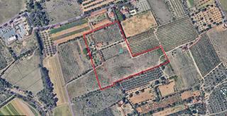 Residential Plot in Port - Horta de Santa Maria