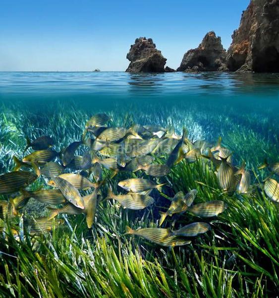 Foto 6790a8c4-5ed3-4e08-ad3c-1a5e41c25e33. Reihenhaus in Llano de Brujas Murcia