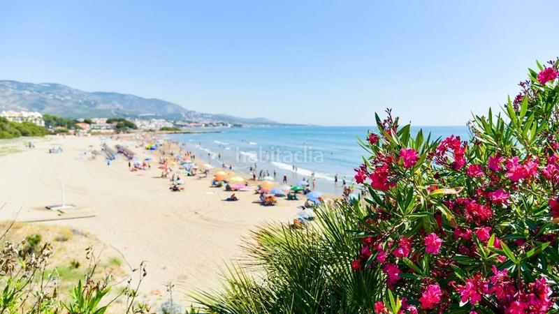 Foto 97f6fea4-04e2-4226-9e2f-0056d1f65e07. Finca rústica en Llandells Peñíscola