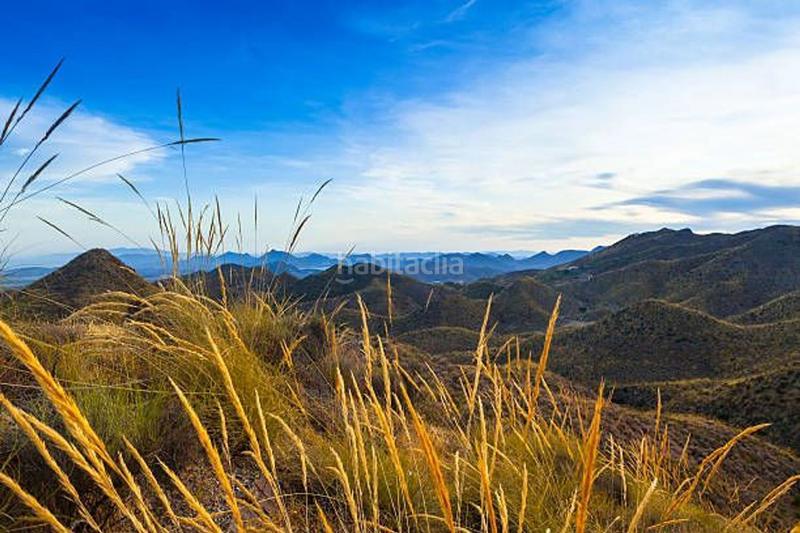 Foto 54c11e09-2601-4589-a884-ac0da49f56b7. Masia a Guzamara - Los Lobos Cuevas del Almanzora