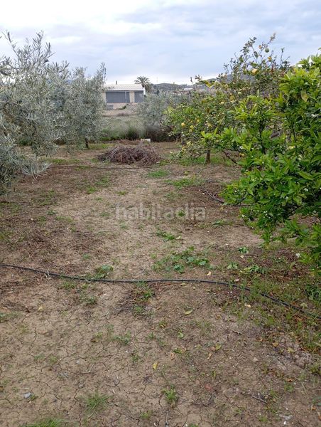 Foto 8e02c33c-6f02-432b-b6a5-4e78687d0cd1. Masia amb aparcament a Gallardos (Los)