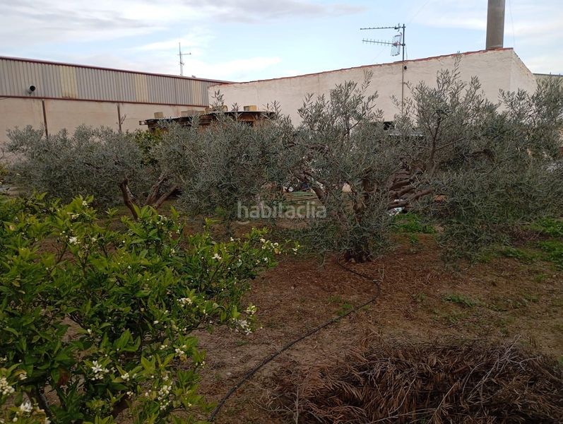 Foto affae965-c908-4429-8162-a4c595355046. Masia amb aparcament a Gallardos (Los)