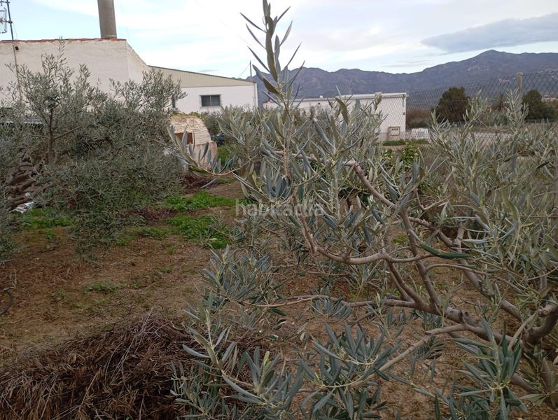 Foto d8594396-89bc-45b6-b7e2-c54246528321. Masia amb aparcament a Gallardos (Los)