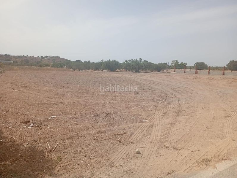 Foto 808e0a1d-8656-42a9-a520-8d205a3555c7. Finca rústica a Mojácar pueblo Mojácar