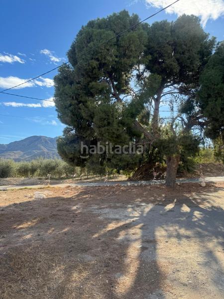 Foto 51193519-9942-4b69-8a27-83183b45f21f. Casa en Mojácar pueblo Mojácar