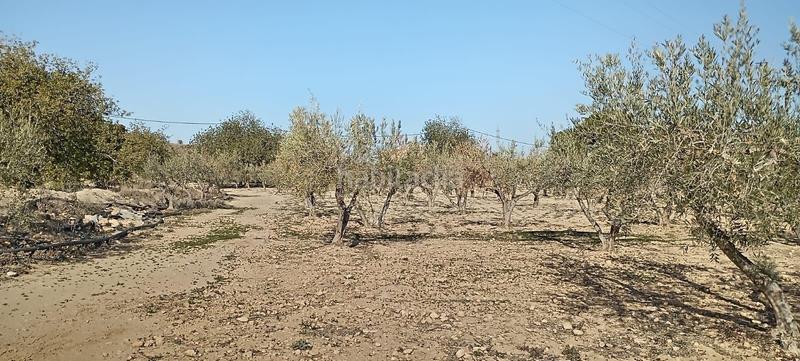Foto 51d363ab-0e12-48a7-944c-e483e657c759. Casa en Mojácar pueblo Mojácar