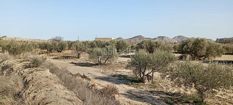 Foto b2146f31-6a42-4640-926e-8185d627a648. Casa en Mojácar pueblo Mojácar