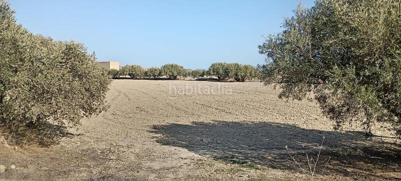 Foto bbb7a31f-9dff-4ccb-a3fb-49b9765d73b8. Casa en Mojácar pueblo Mojácar