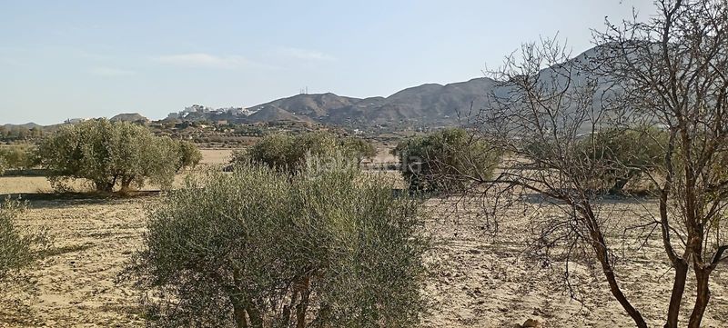 Foto 4805fa50-e104-48d6-8f60-69750ac35a44. Haus in Mojácar pueblo Mojácar