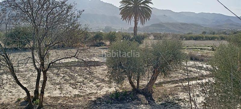 Foto d2d8eb9d-f489-41c7-9edf-cbf3ac969d01. Haus in Mojácar pueblo Mojácar