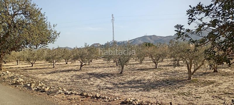 Foto fda87efb-0194-4825-bf77-7f0bf4ed0674. Haus in Mojácar pueblo Mojácar