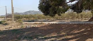 Maison à Mojácar Pueblo
