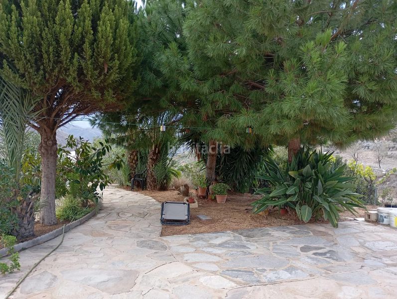 Foto a7cea94d-b63e-44e1-af4d-9a4206dc1117. Chalet with parking pool in Bédar