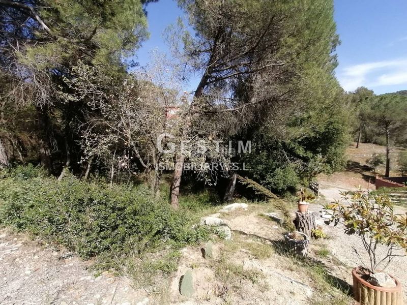 Foto 702c6df2-62c8-4f13-b9a8-5d42f99d4681. Terreny residencial a Seva