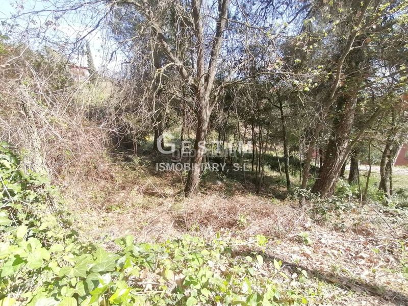 Foto 79de1ff7-8807-48e1-b808-c0c3fc07bf29. Terreny residencial a Seva