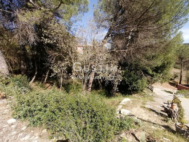 Foto d497d599-6fe7-474a-8dba-26e4a5bd3878. Terreny residencial a Seva