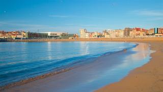 Flat  Avenida de galicia. Céntrico piso cercano a las playas de poniente y arbeyal