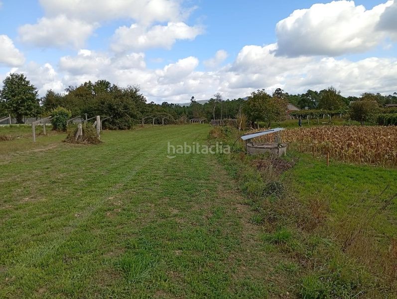 Foto ed4be866-7b29-4a0f-b30e-643202792946. Masia a Ponteareas