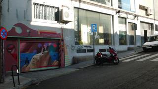 Business premise in camelias