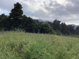 Terrain résidentiel  Galeota-beade. Terreno con proyecto de ejecución en camino galeota, beade