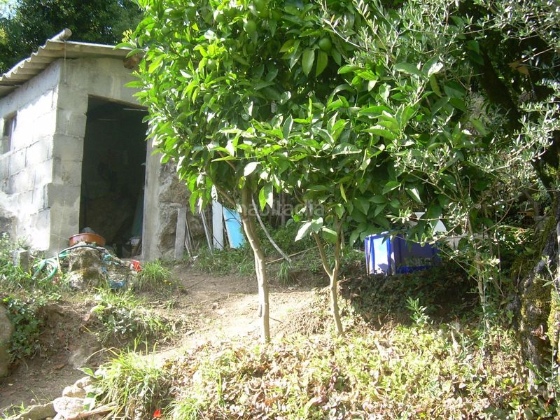 Foto 931d34f8-93cf-4c25-8bee-66d26aed1733. Casa  para reformar en Arbo
