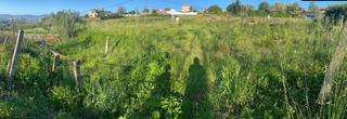 Finca rústica  Cu da viña-beade. Terreno no edificable en beade